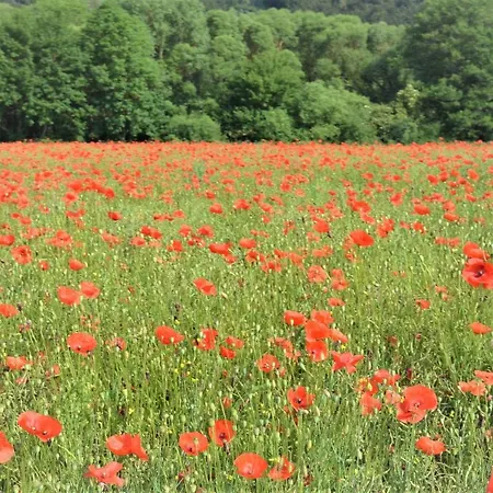 Apartment Ostsee Panoramaloft Juliusruh